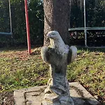 Dom wakacyjny Casa Falco *
